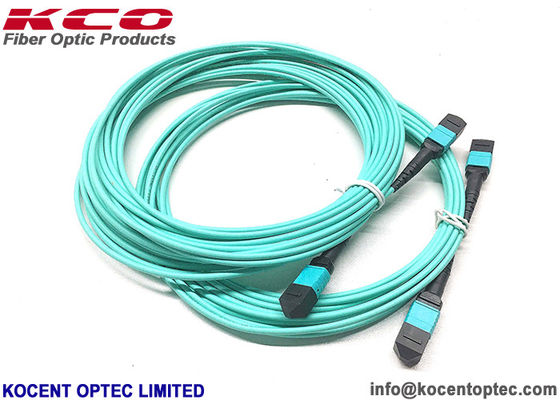 12fo 24fo MM OM3 OM4 50/125 MPO MTP Optical Fibre Patch Cable