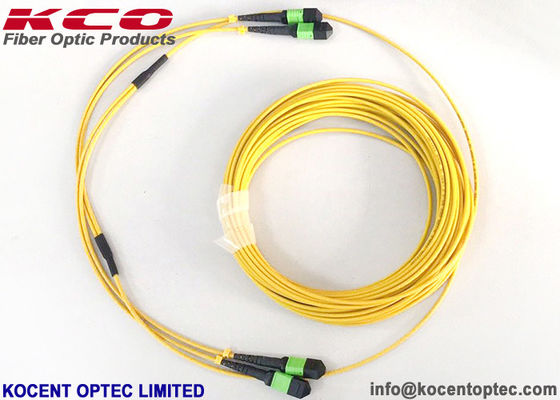 MPO APC 24fo 48core G657A1 Elite Insertion Loss MTP Kabel Fiber Optic Trunk Patch