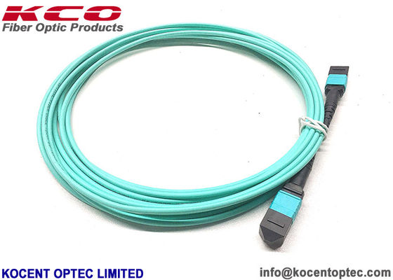 12fo 24fo MM OM3 OM4 50/125 MPO MTP Optical Fibre Patch Cable